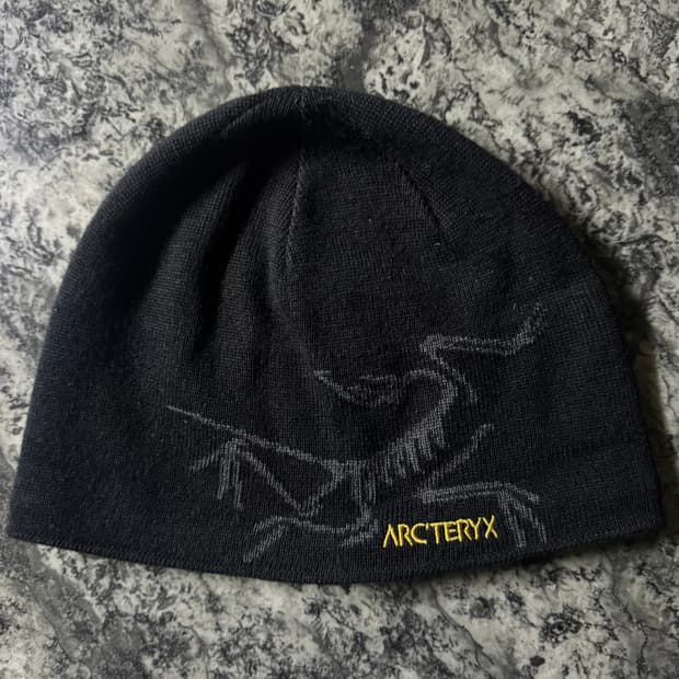 아크테릭스 비니