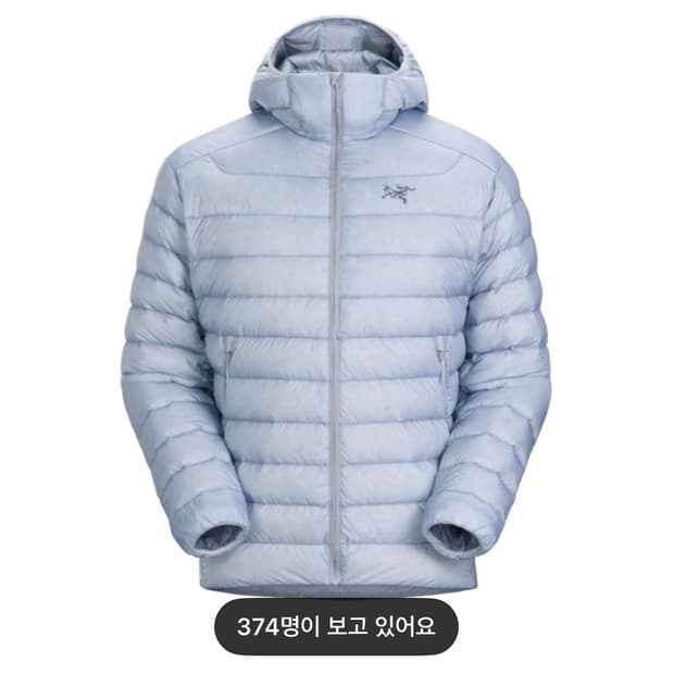 아크테릭스 세륨 후디 루센트