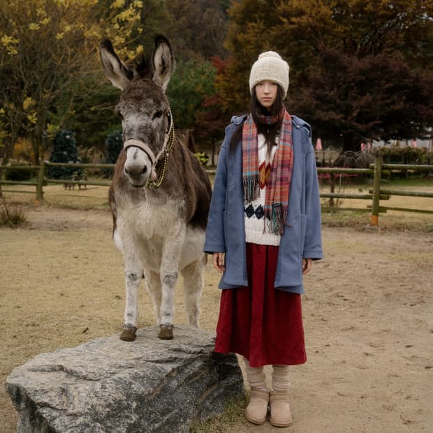 숲 오두막과 당나귀 SET