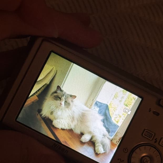 [ 최 저 가 ]니콘 쿨픽스 nikon coolpix s500 디카