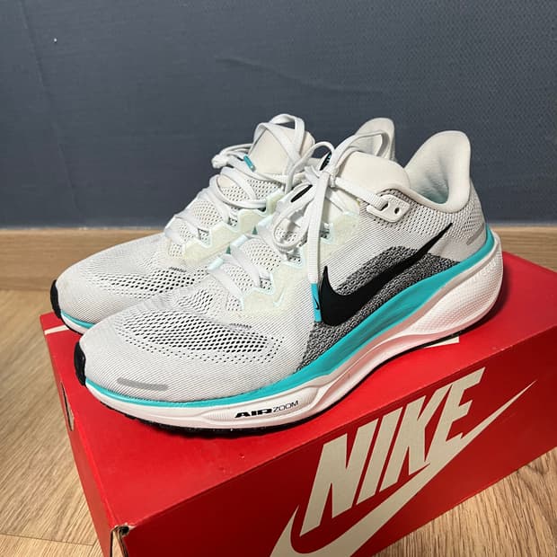 나이키 에어 줌 페가수스 41 런닝화 260