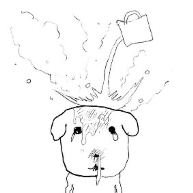 삽니다) 캐논 익서스210 구해요!