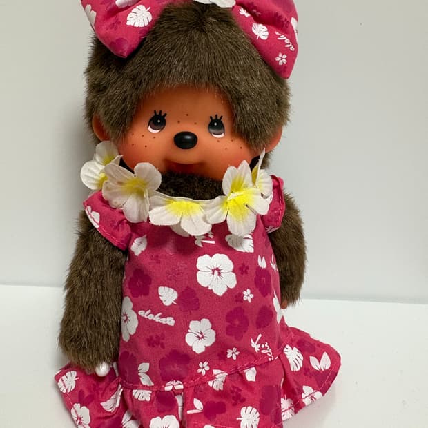 고전)하와이안 몬치치