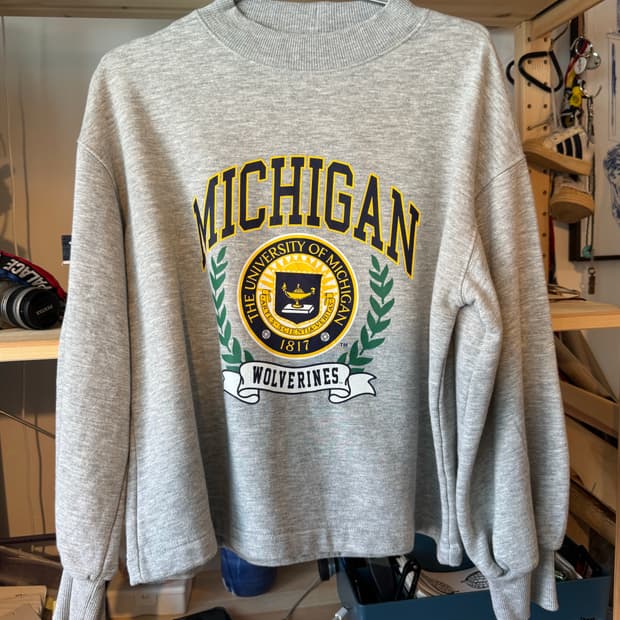 michigan university