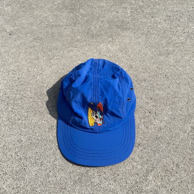 91 usa looney tunes taz cap