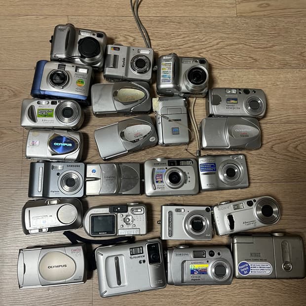 디지털 카메라 일괄