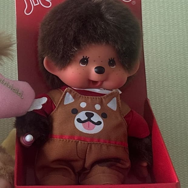 유럽판 시바견 몬치치