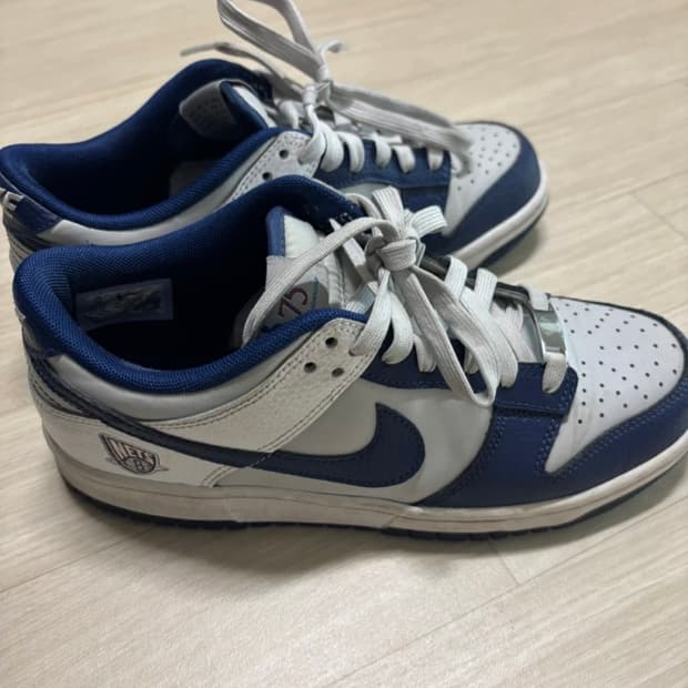 NBA x 나이키 GS 덩크 로우 EMB 브루클린 넷츠 240