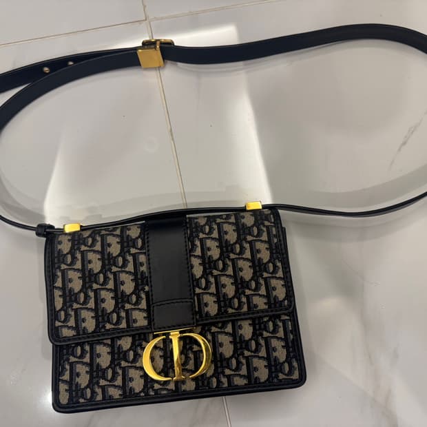 디올 몽테인 백