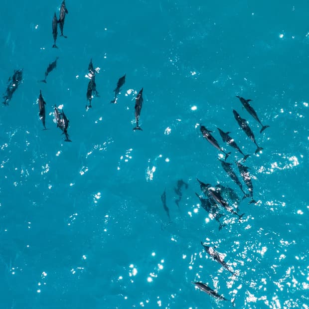 뱃지 결제 개인창