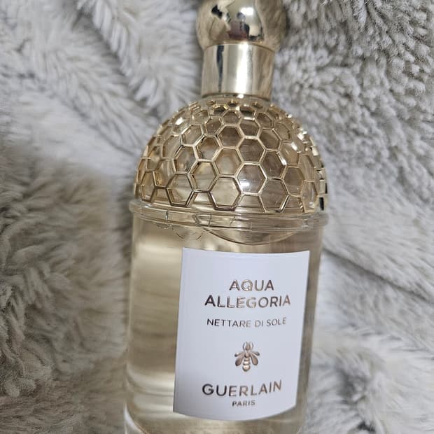겔랑 아쿠아 알레고리아 네타레 디 솔레 향수 125ml