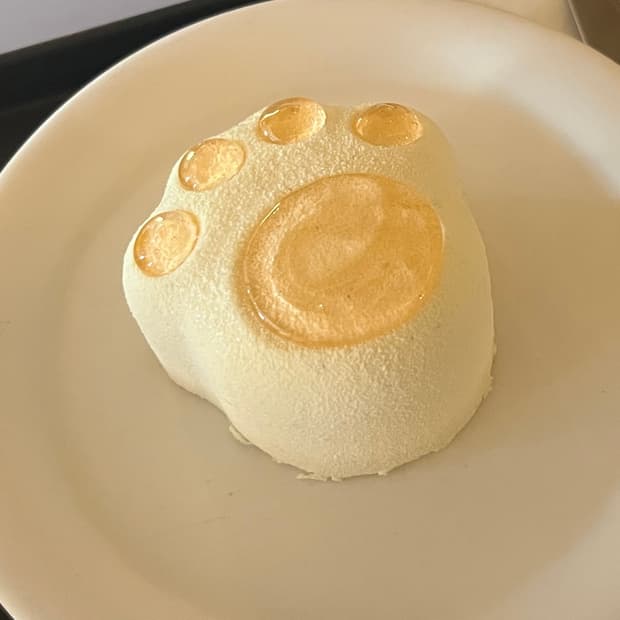 vetyverio님 결제창