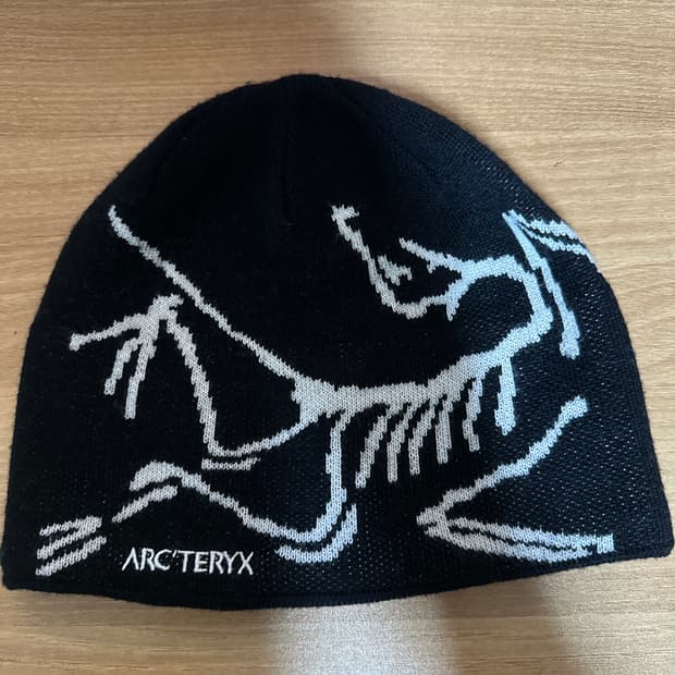 아크테릭스 비니