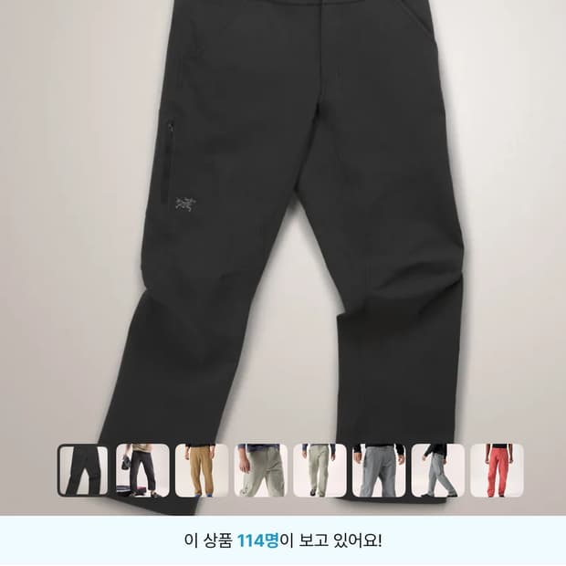 아크테릭스 크로닌팬츠 36R