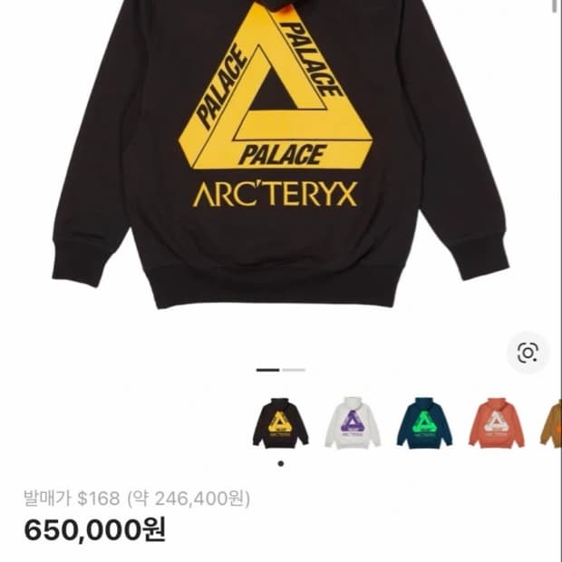 팔라스 아크테릭스 후드