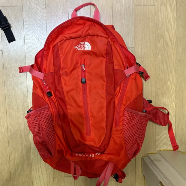 노스페이스 텔러스25 빨강