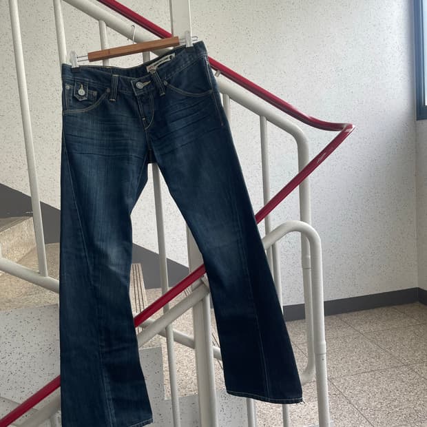 levis pelvic denim pants