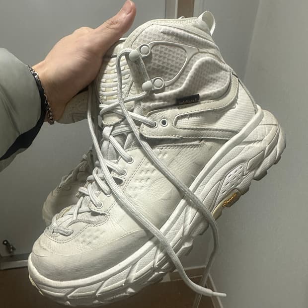 호카오네 오프닝세레머니 토르 하이 260