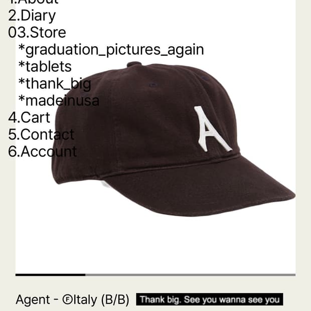 테프스토어즈 agent 볼캡 브라운 L