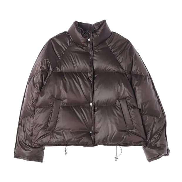 인사일런스 글로시 구스다운 브라운S