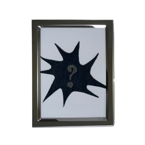 Levis 523 Denim frame 🖼️