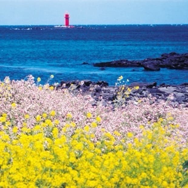 * 3/4(수)~11(수) 동안 배송이 어렵습니다.