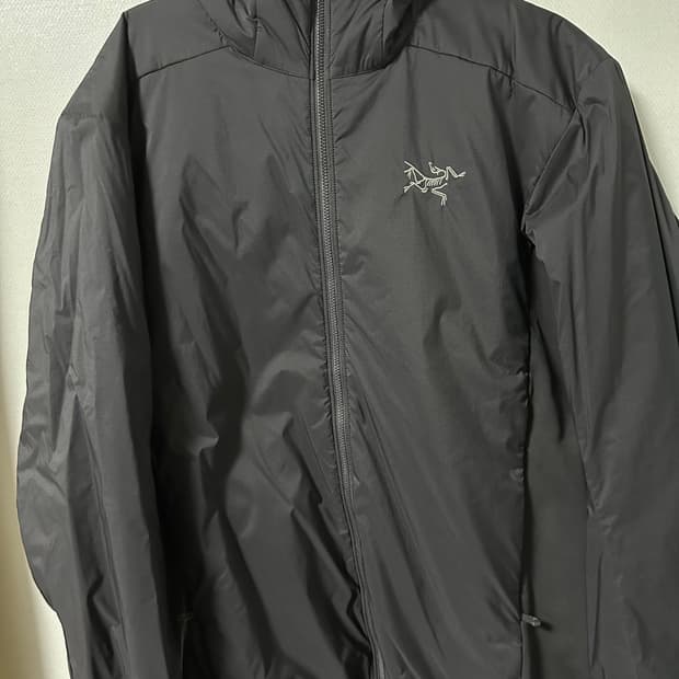 아크테릭스 아톰 후디 [M]