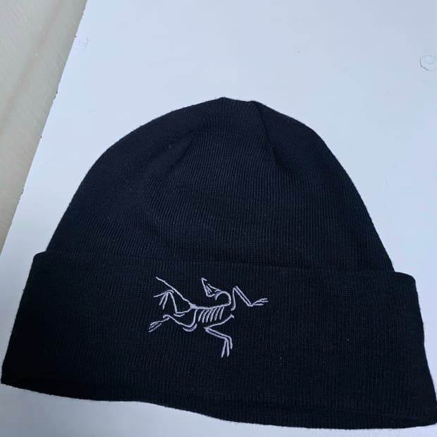 아크테릭스 비니