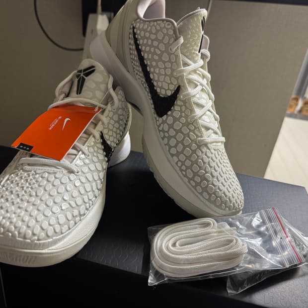 코비6 프로트로 세일 