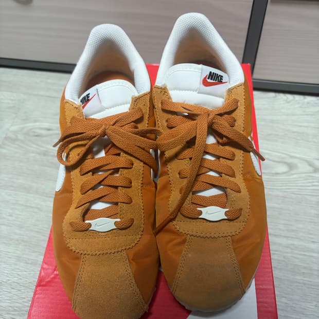 코르테즈 260