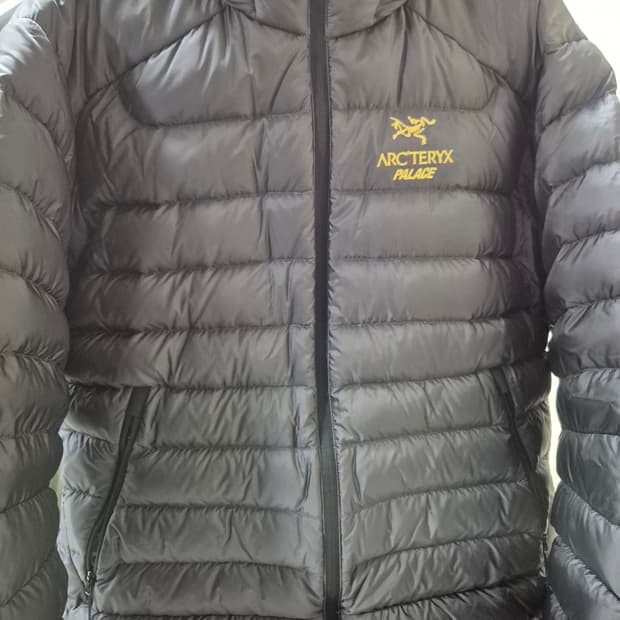 M) 아크테릭스 팔라스 세륨 lt 후디