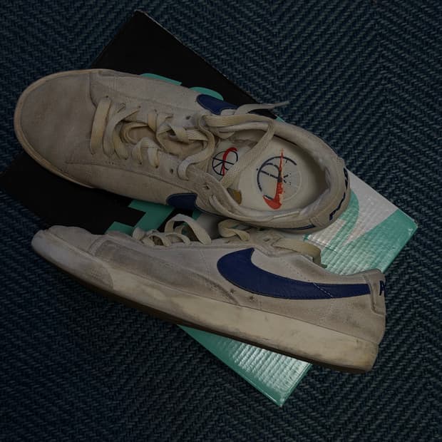 나이키 폴라스케이트 sb 