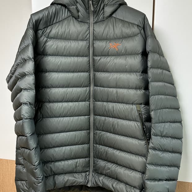 아크테릭스 세륨 후디 포리지 2XL XXL