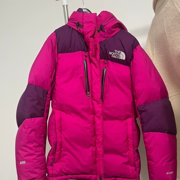 노스페이스 노스패딩 구스다운 100사이즈 800필