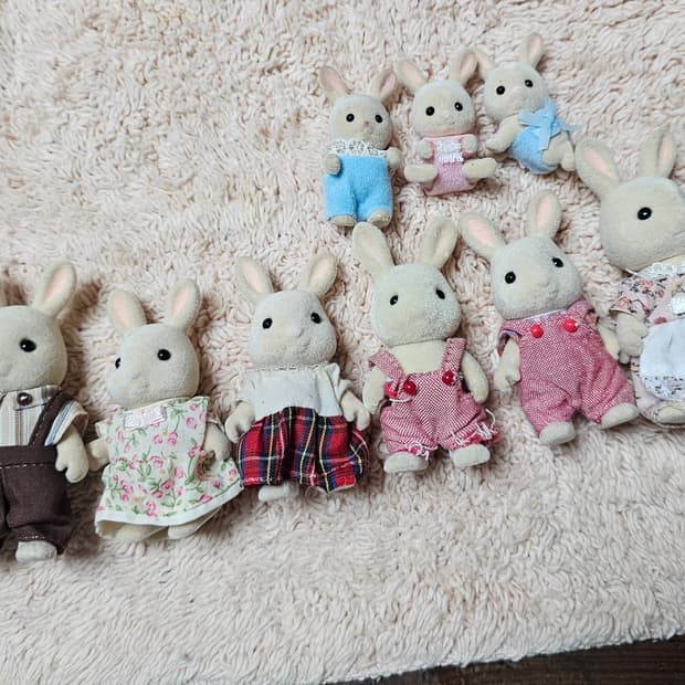 실바니안 밀크토끼 대가족 판매합니다