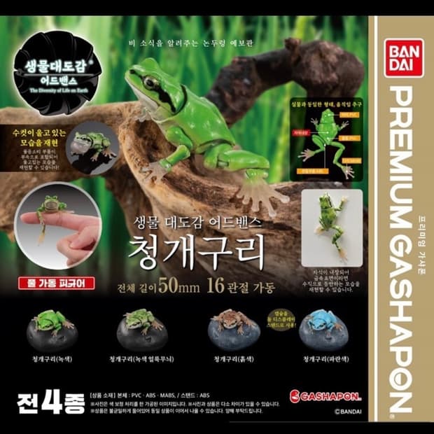 반다이 생물대도감 어드밴스 청개구리01 녹색