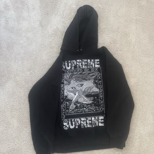 19FW 슈프림 도브 후드티