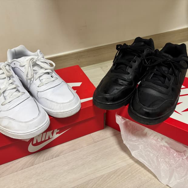 나이키 에버논 로우 285