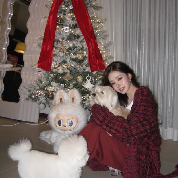 (예약중) [풀박스!] 캐논 익시 ixy 10 (익서스 70) 실버 디카