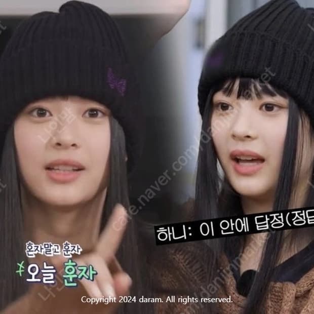 니들스 비니 (뉴진스 하니 착용)