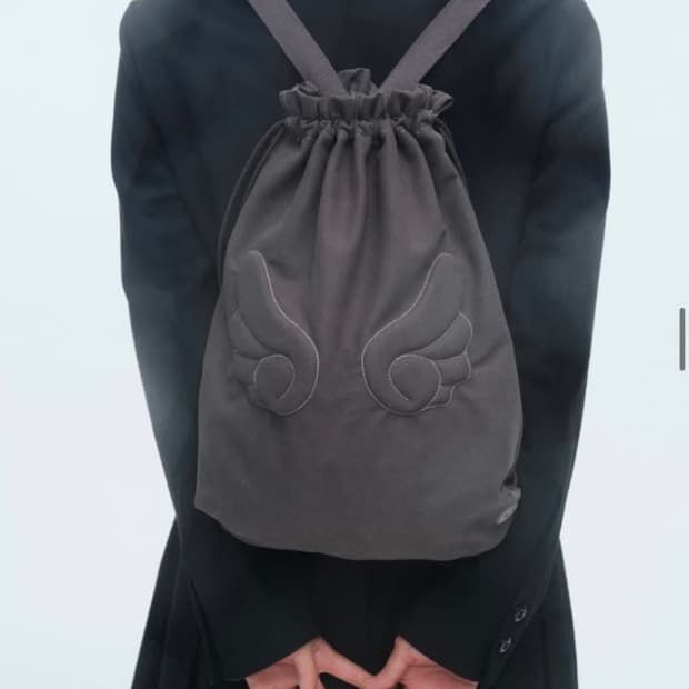 코이세이오 스부 엔젤 윙 슈케이스 가방 백팩