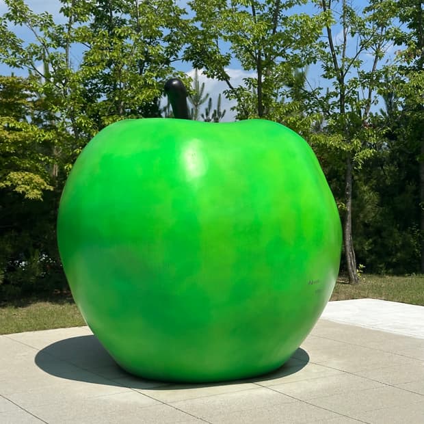 카멜