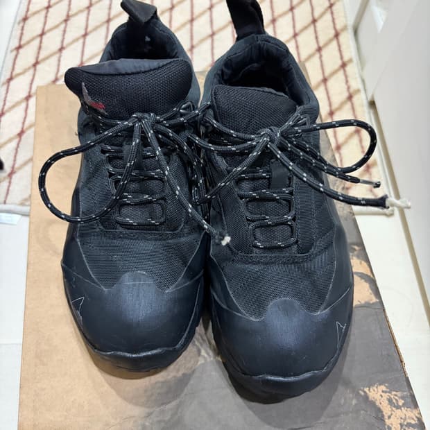 로아 카타리나 38