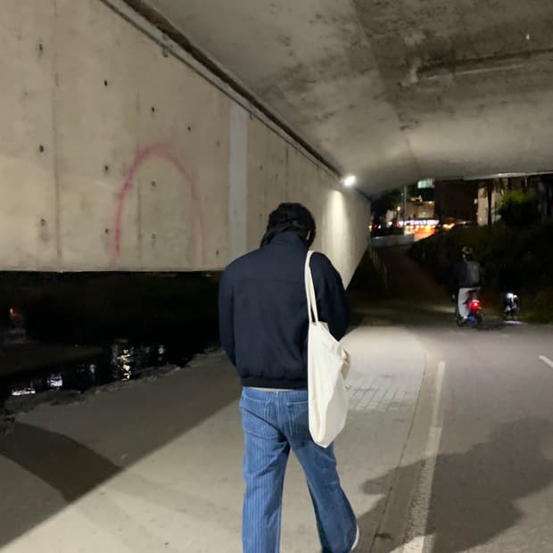 와이프로젝트 스트라이프 스네일 진