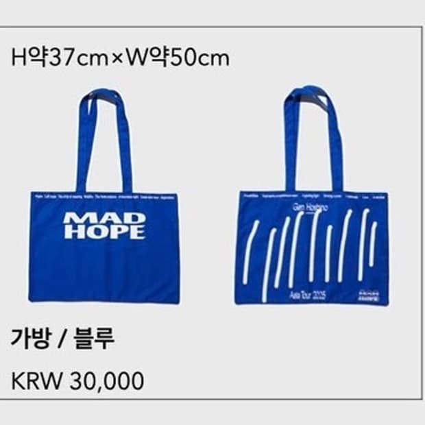 호시노겐 Mad hope 투어 에코백