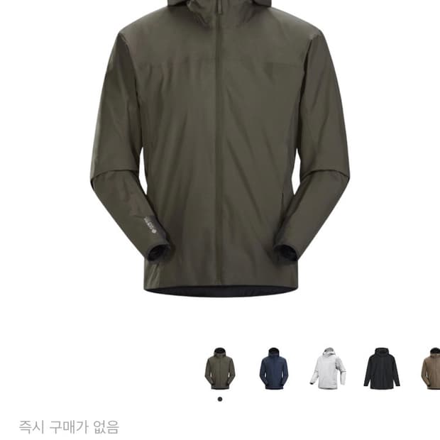 아크테릭스 솔라노 후드 문쉐도우