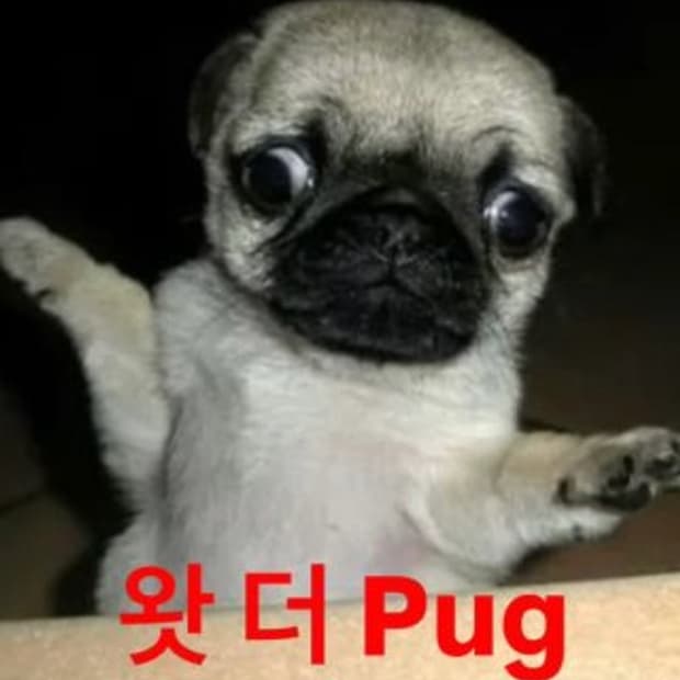 12월 4일 23시까지 세일합니다