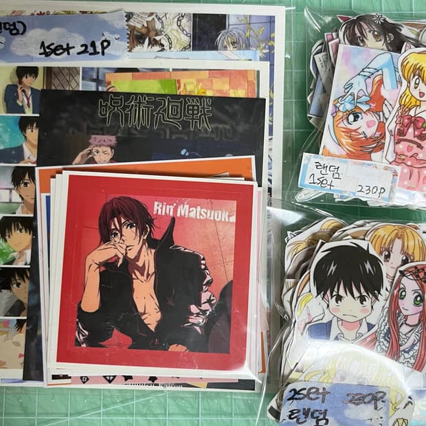 애니 인스컷+애니 도무송 세트