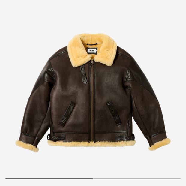 팔라스 플라잉 자켓 브라운 - 23FW