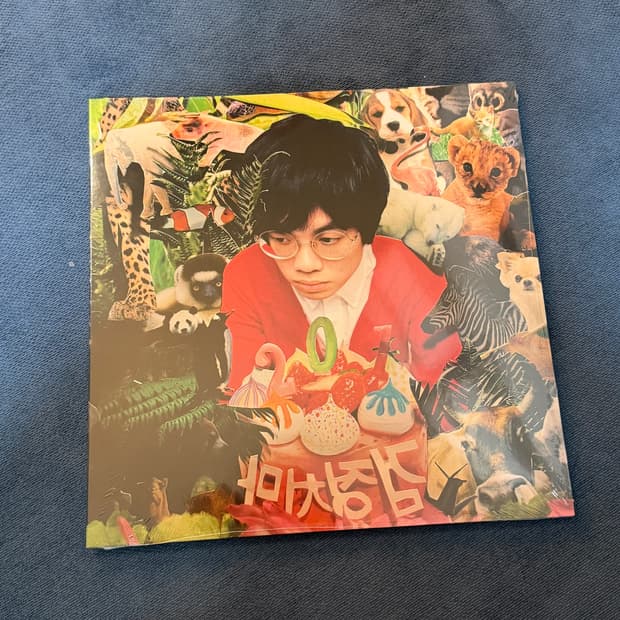 검정치마 201 정규1집 LP